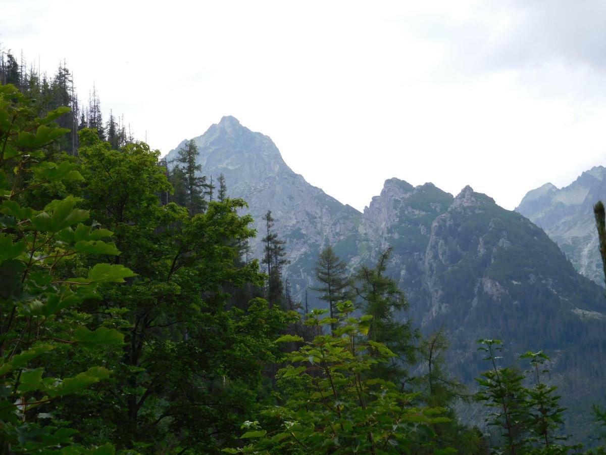 塔特兰斯卡斯特拉High Tatras - Patris 27公寓 外观 照片