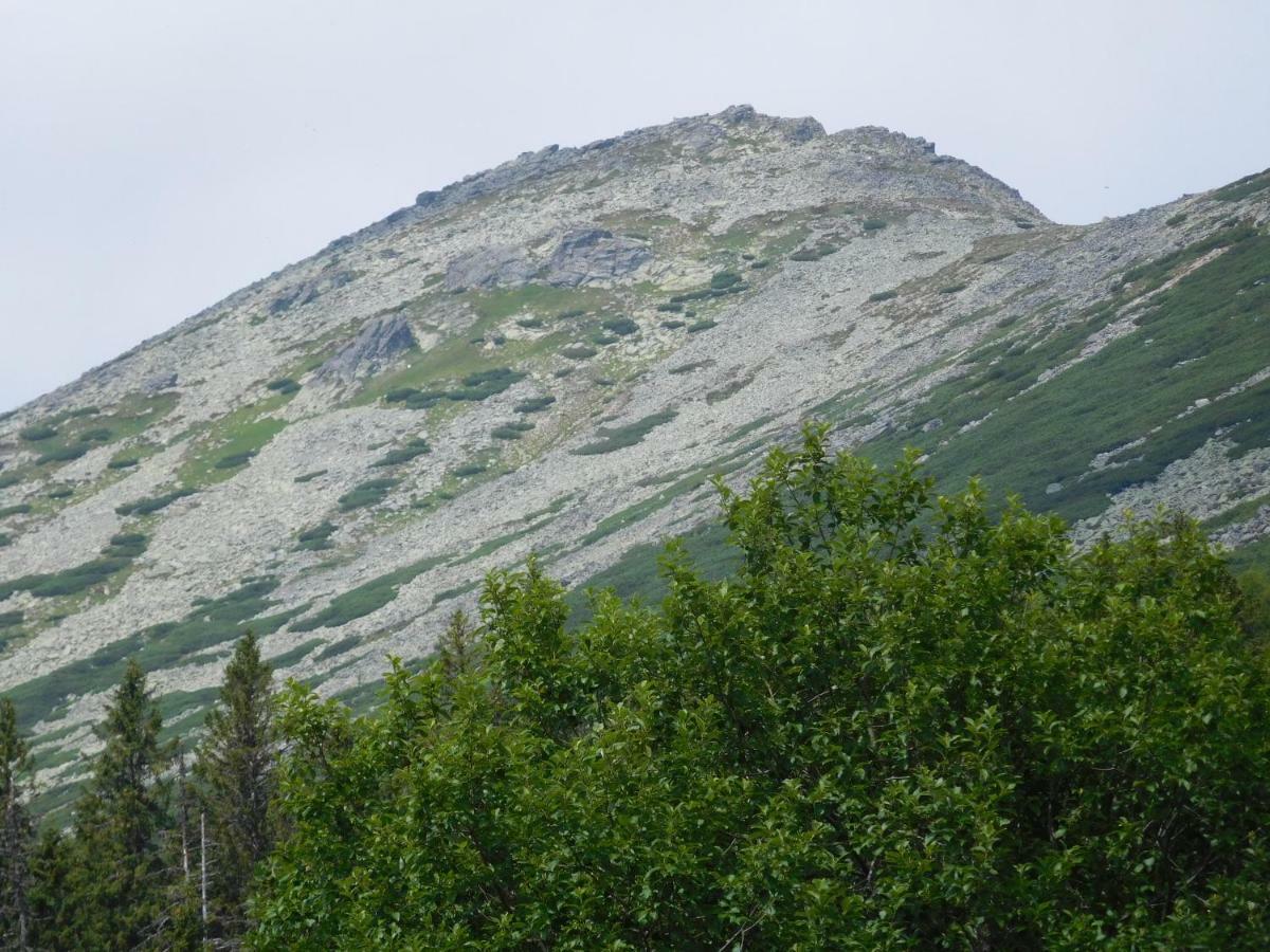 塔特兰斯卡斯特拉High Tatras - Patris 27公寓 外观 照片