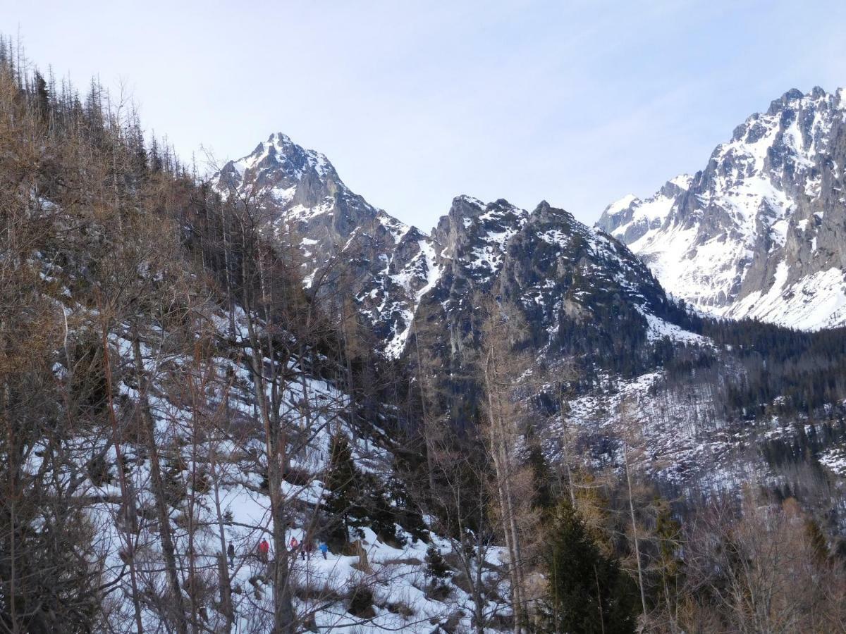 塔特兰斯卡斯特拉High Tatras - Patris 27公寓 外观 照片